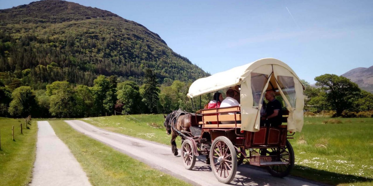 A horse-drawn jaunting carriage carries Driftwood Tour guests through sunny and scenic Killarney National Park in Kerry, Ireland