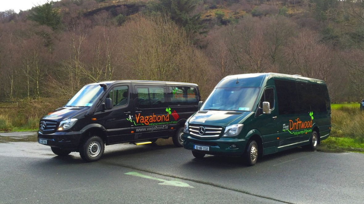 Our vagatron and drifter mercedes mini buses