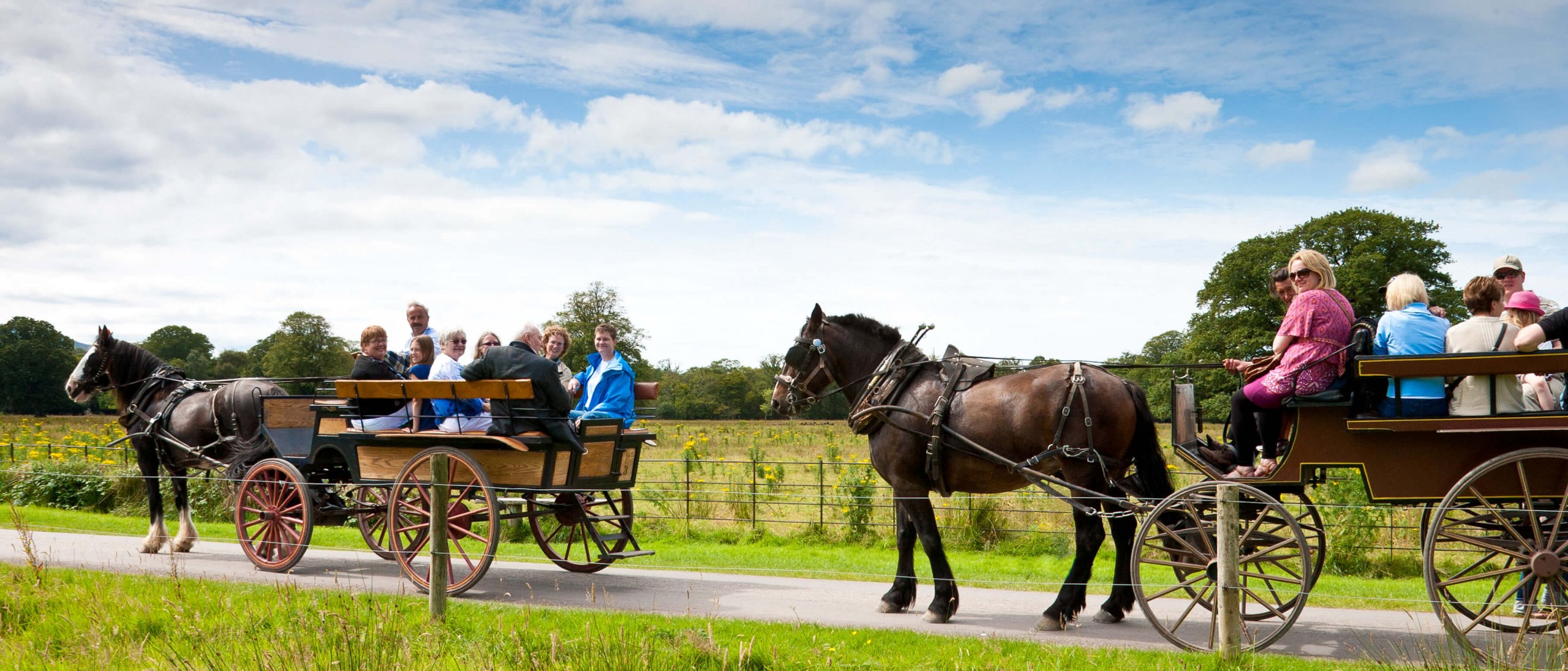 Two horse-drawn jaunting carriages in Killarney National Park, Ireland